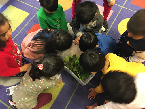 IEYC Unit: ‘ The Brilliant Bug Ball - Minibeasts’