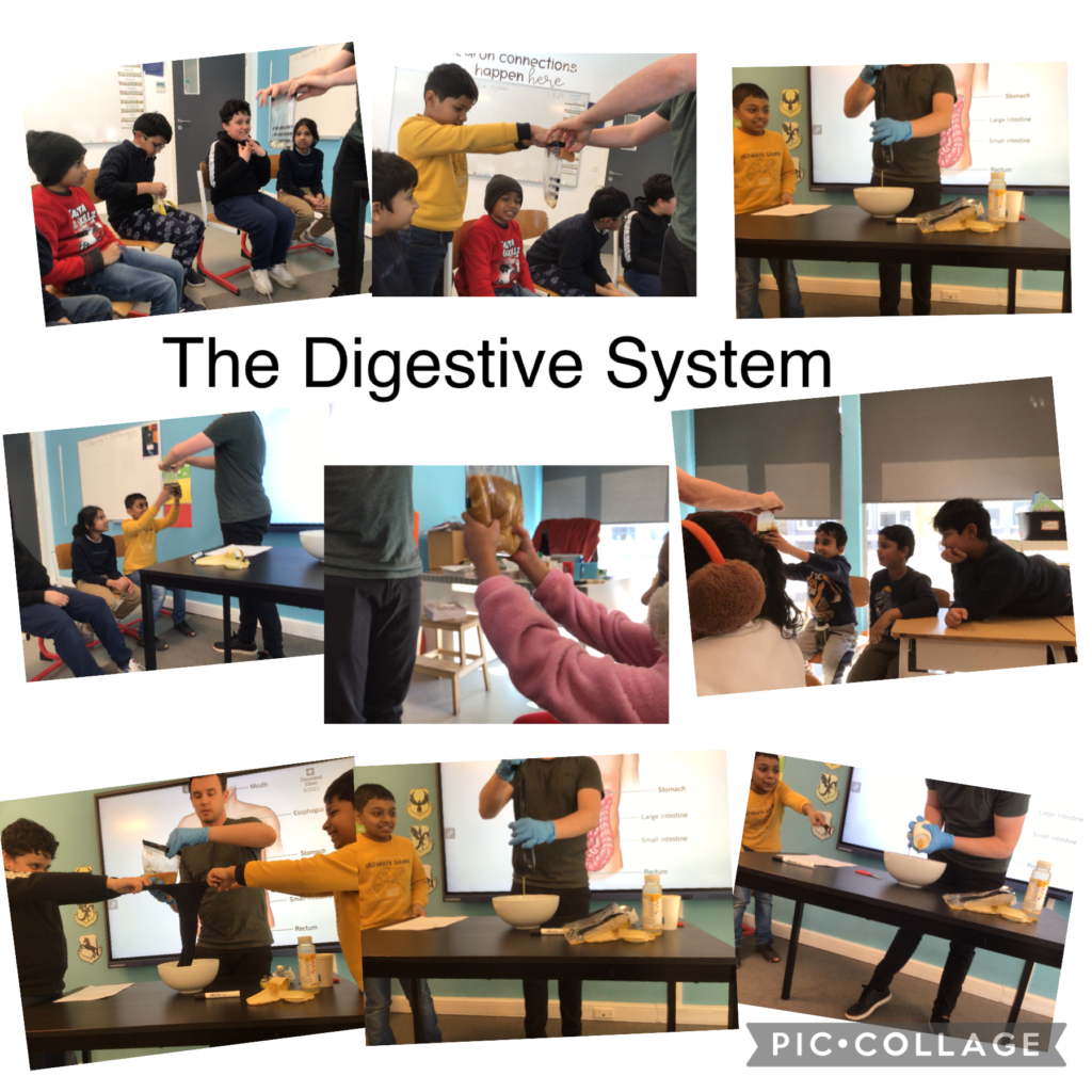 How Human Works - Class 3