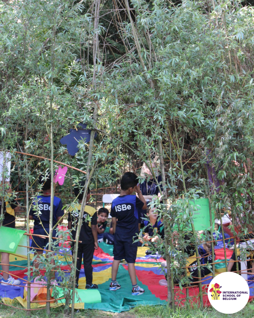 Primary Newsletter 27/06/2025