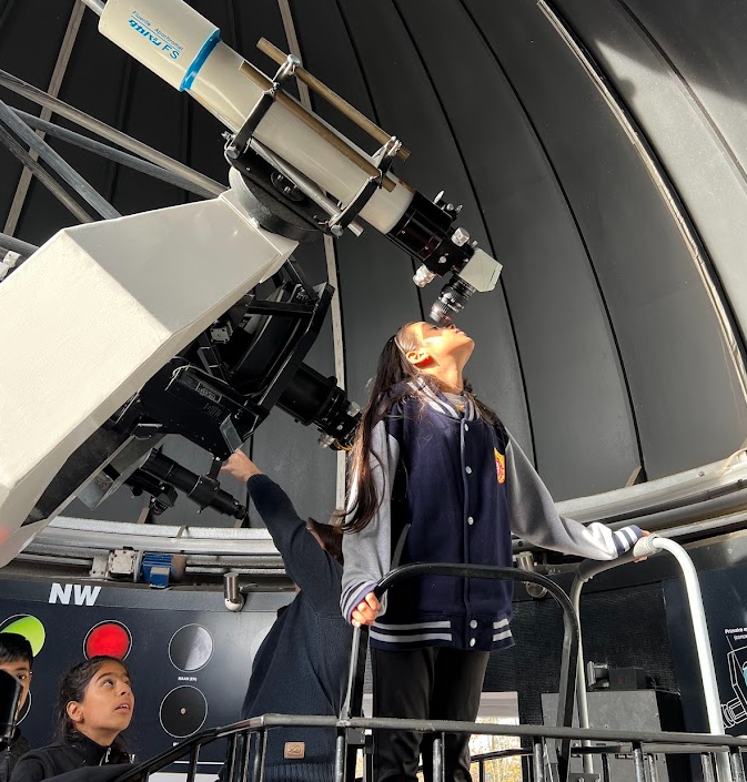 Class 4 – Term Highlights Round-Up! 